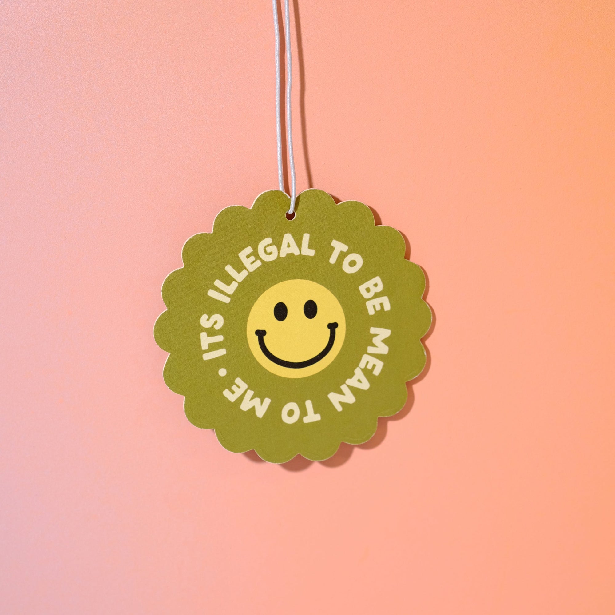 Air Freshener - It is illegal to be mean to me - Sleepy Mountain