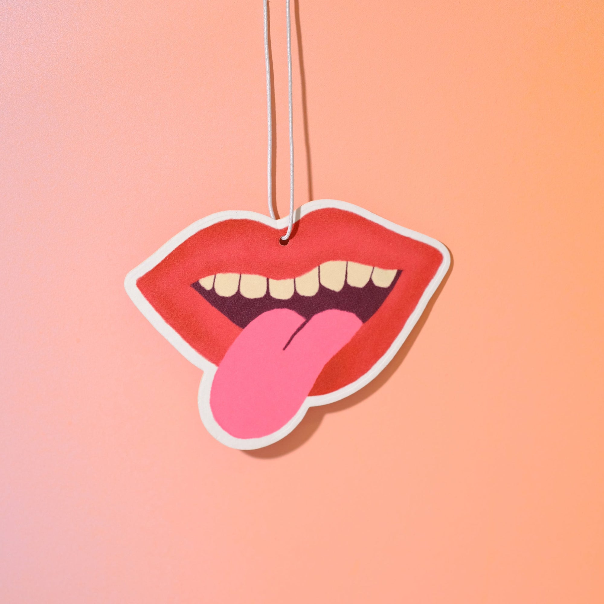 Air Freshener - Tongue-in-Chic - Sleepy Mountain