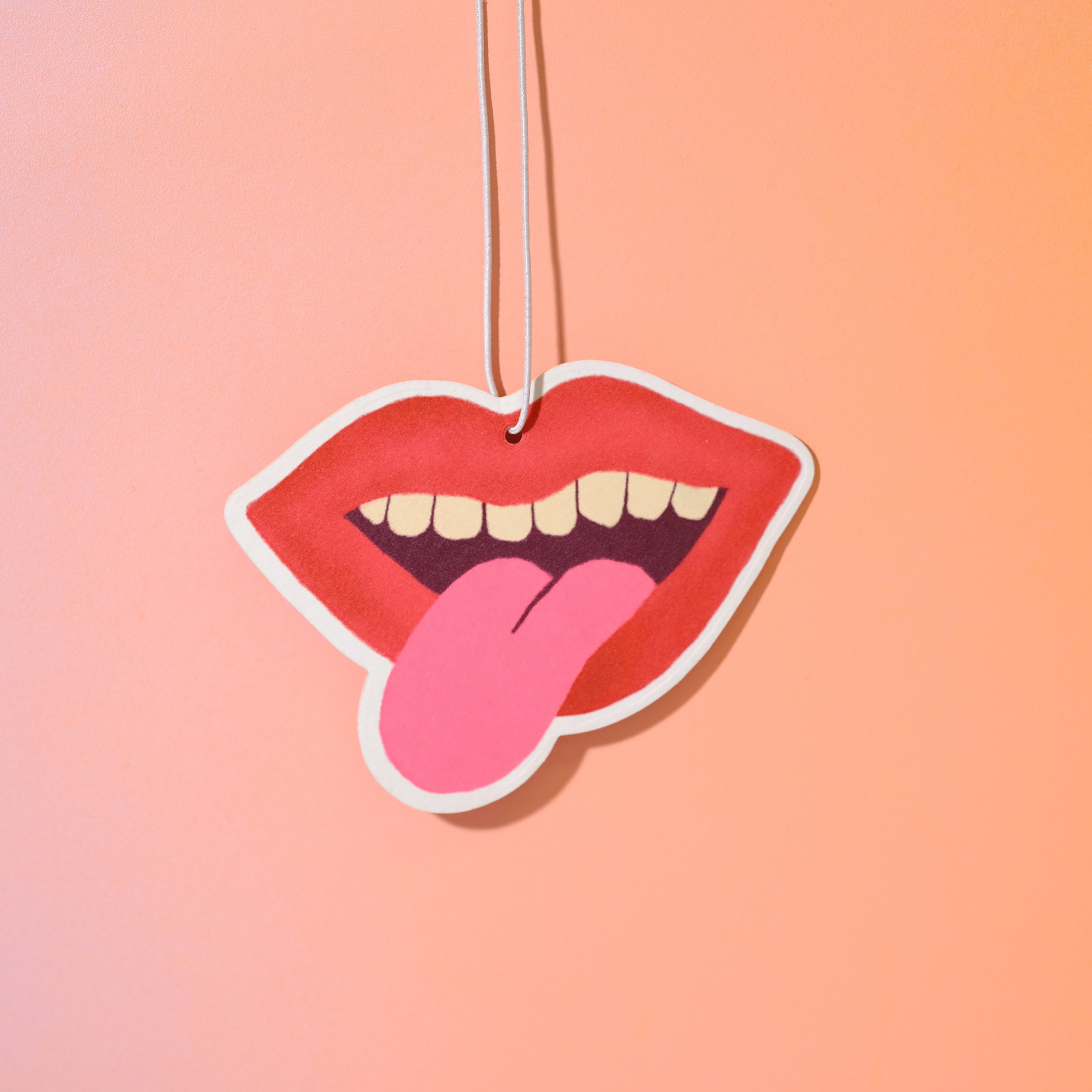Air Freshener - Tongue-in-Chic - Sleepy Mountain