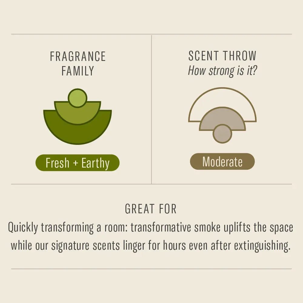 Amber & Moss - Incense by P.F. Candle Co. - Sleepy Mountain