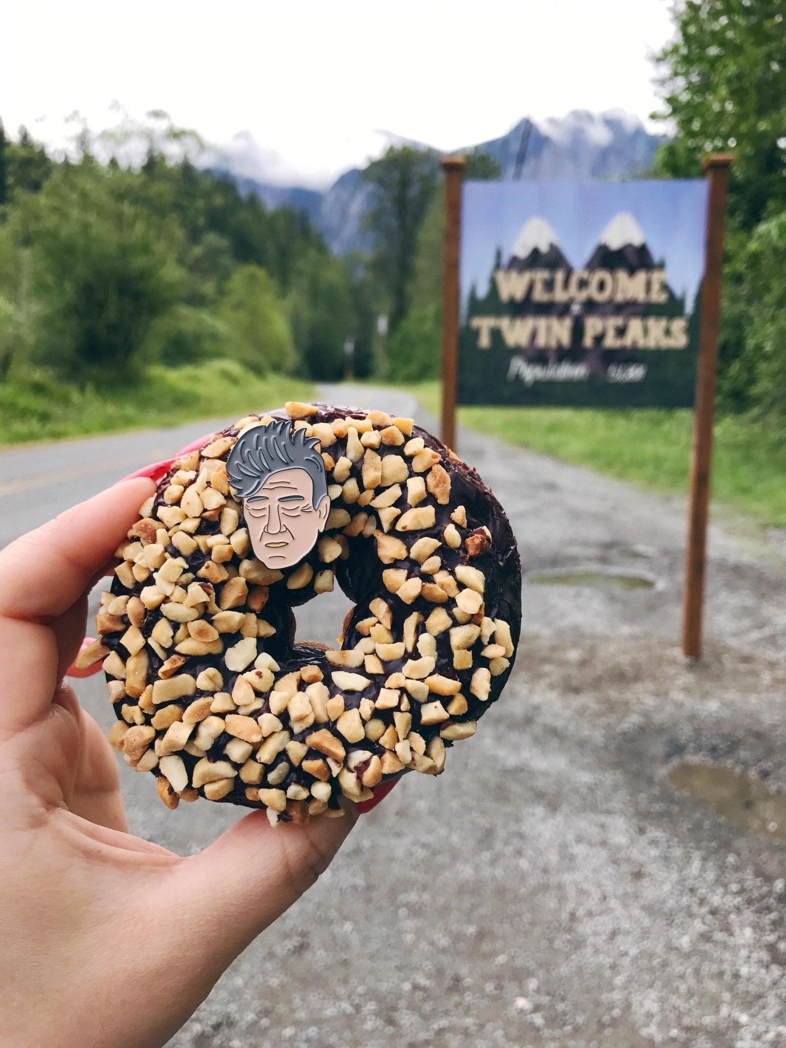 David Lynch Enamel Pin - Sleepy Mountain