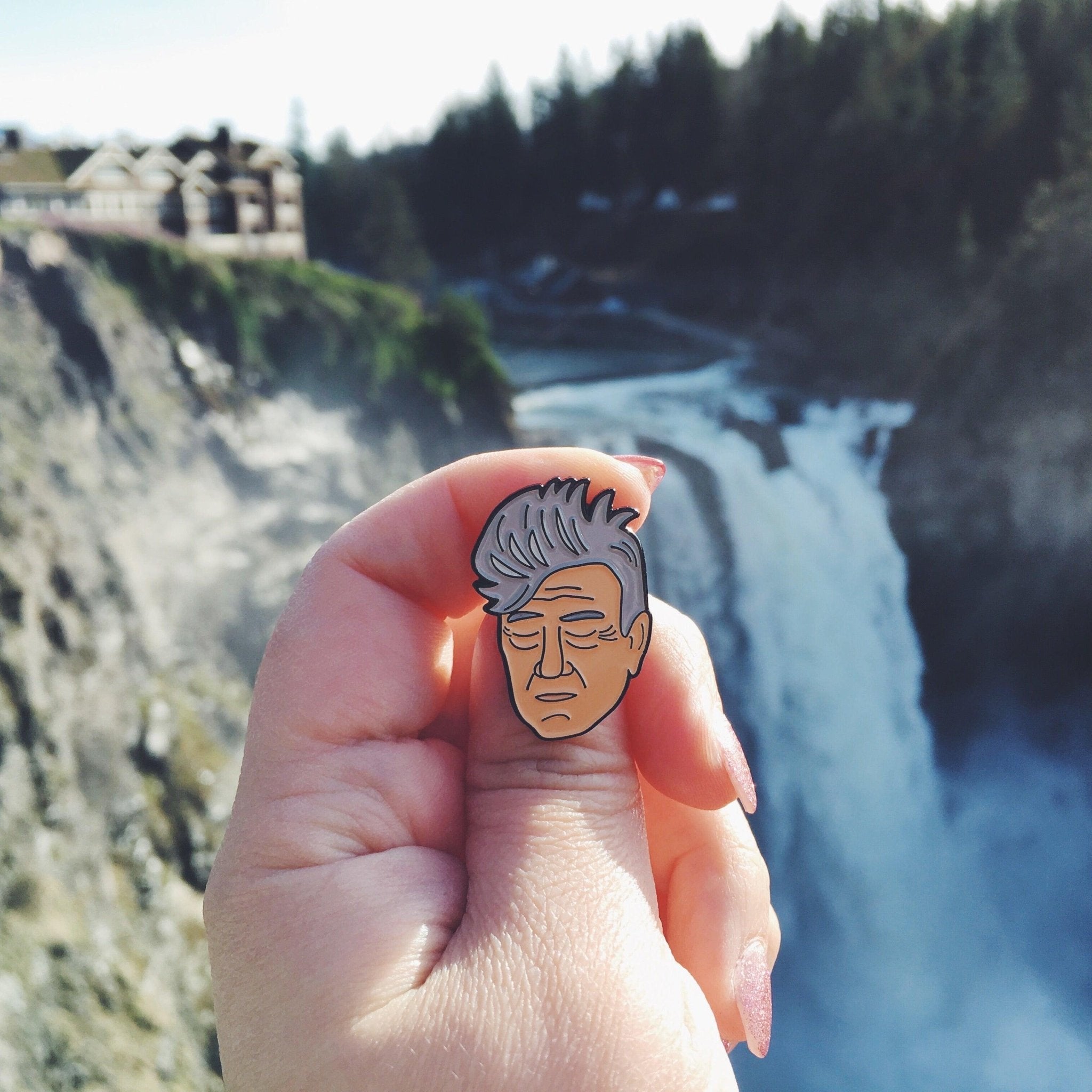 David Lynch Enamel Pin - Sleepy Mountain