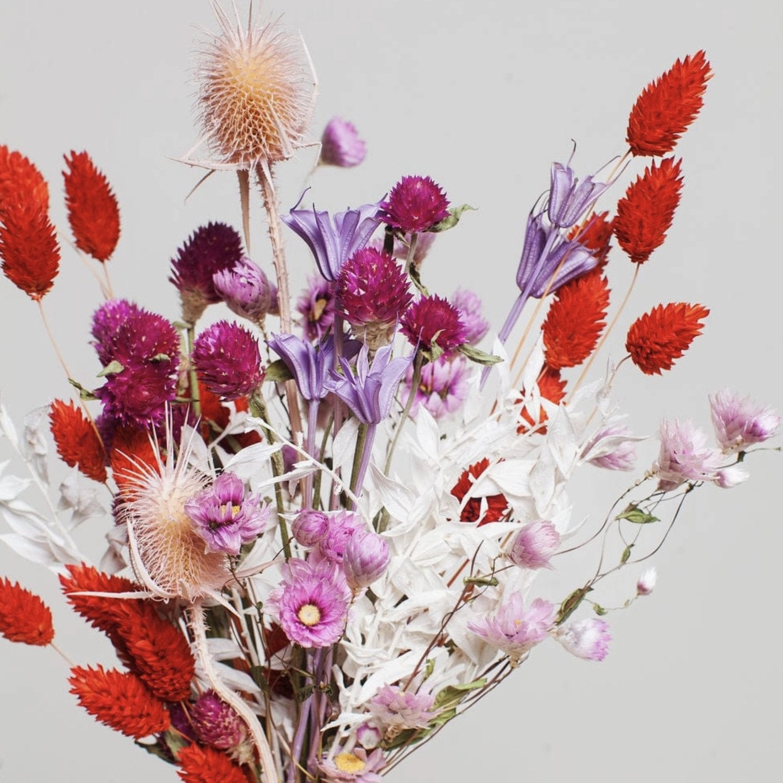 Dried Flowers - Confetti Petite Bouquet - Sleepy Mountain