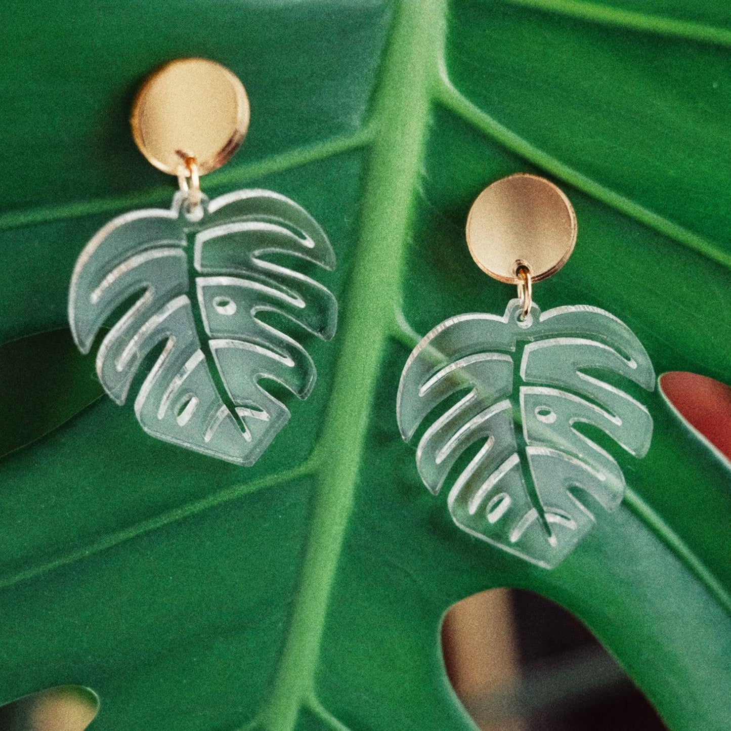 Monstera Leaf Dangle Earrings - Clear and Gold - Sleepy Mountain