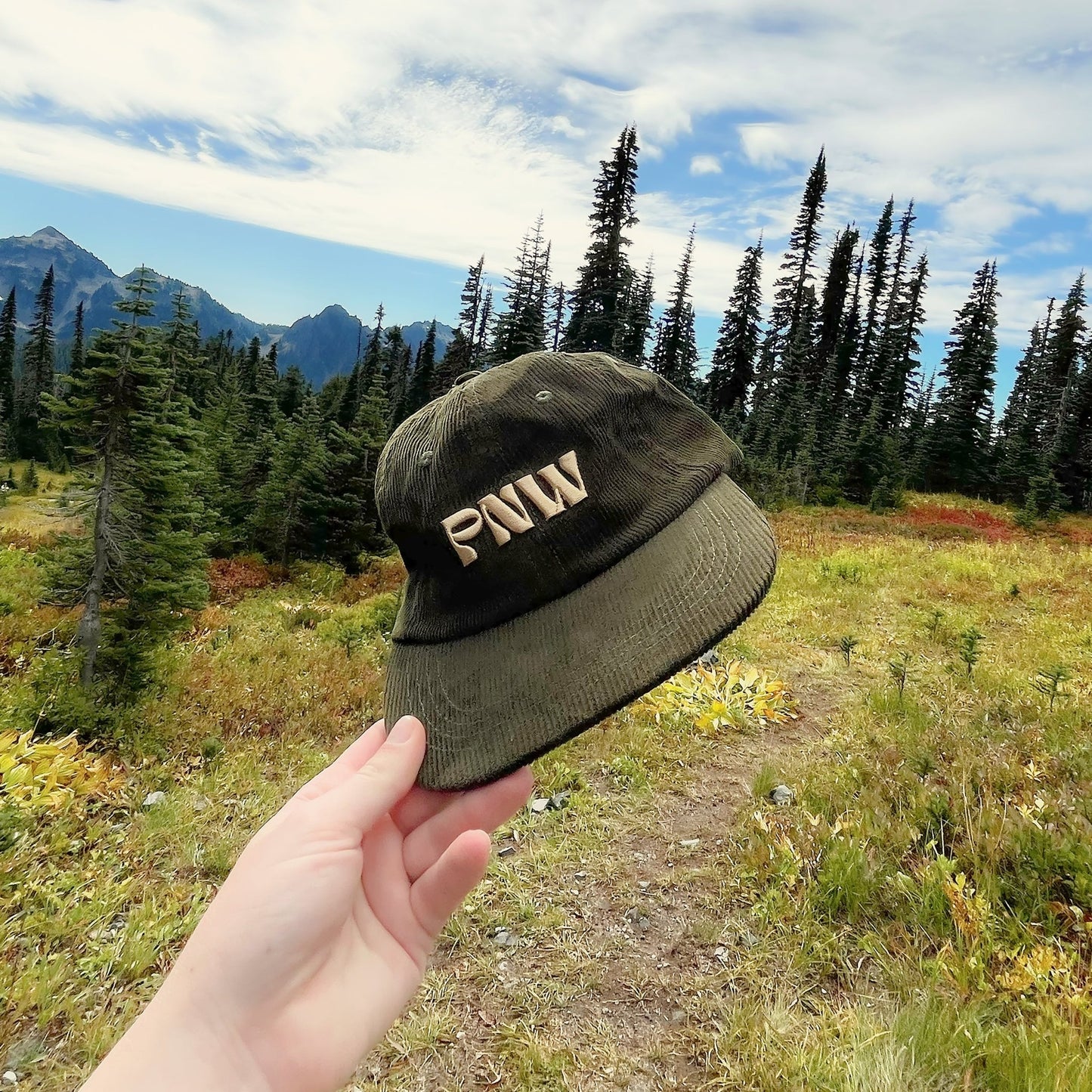 PNW Hat - Sleepy Mountain