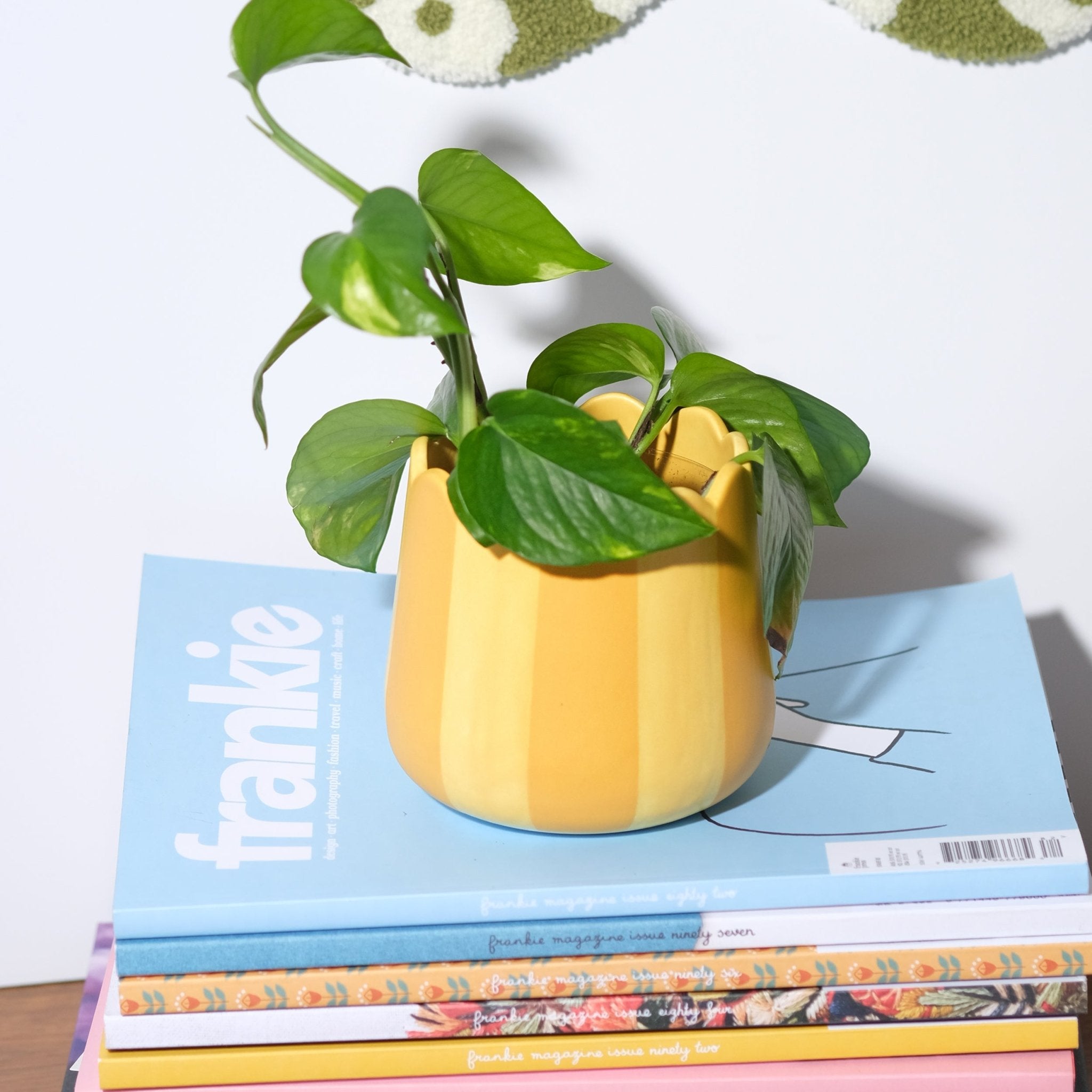 yellow planter indoor Scalloped Planter