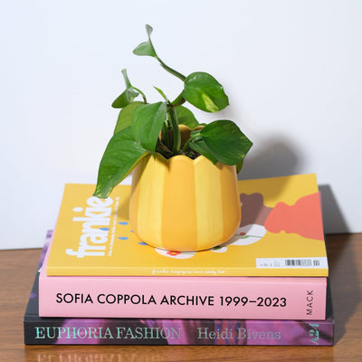 Scalloped Planter - Yellow Stripes - Sleepy Mountain